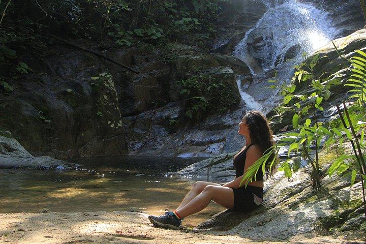 Explore the Jungle by off-road vehicle