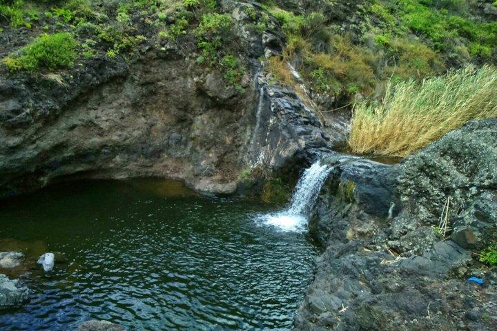 ANAGA: Tour VIP: foreste, vulcani e spiagge.