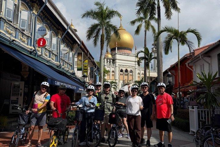 Tour in bicicletta dei punti salienti della città di Singapore (4 - Giro del patrimonio)