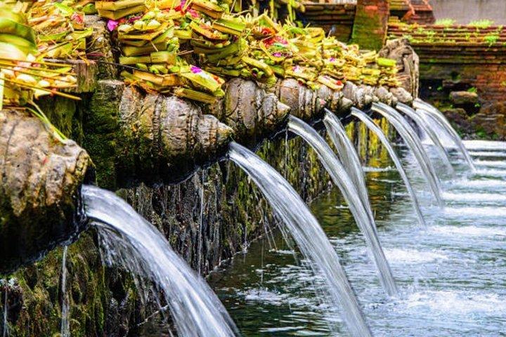 Ubud Puripication Temple, Rice Terrace, Waterfall & Monkey forest