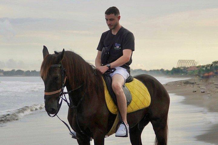 バリ島のブラックサンドビーチ乗馬アドベンチャー