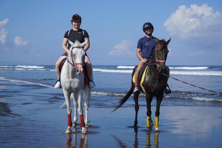 Black Sand Beach Horseback Riding Experience