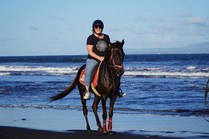 バリ島のブラックサンドビーチ乗馬アドベンチャー