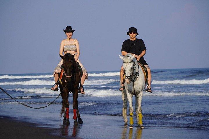 バリ島のブラックサンドビーチ乗馬アドベンチャー