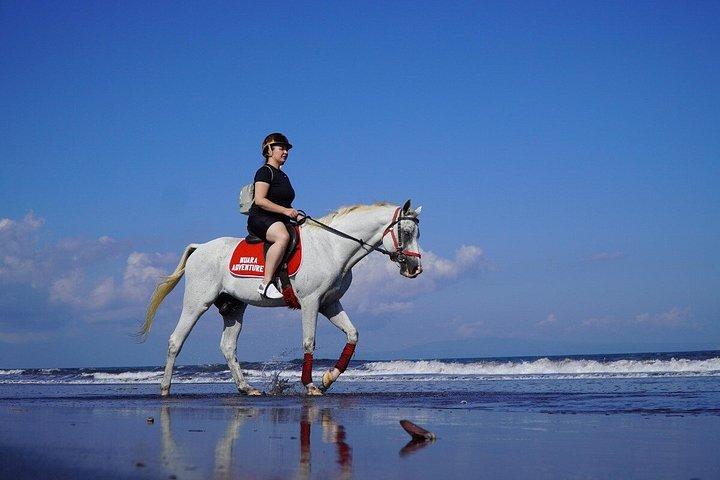 バリ島のブラックサンドビーチ乗馬アドベンチャー