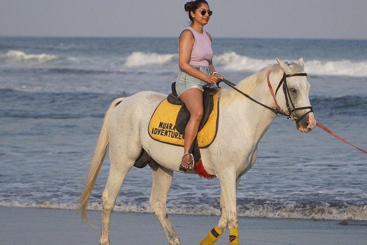 バリ島のブラックサンドビーチ乗馬アドベンチャー