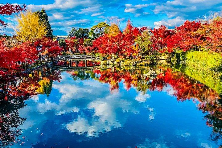 京都の見どころ：英語ドライバー付きカスタムプライベートツアー
