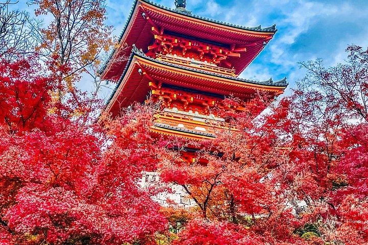 京都の見どころ：英語ドライバー付きカスタムプライベートツアー