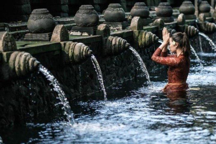 Explorez les rizières en terrasses, les cascades et la culture balinaise d'Ubud