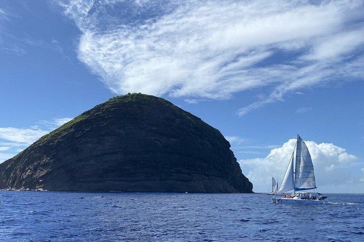 Viaggio in catamarano a Ilot Gabriel, isola piatta e Coin de mire