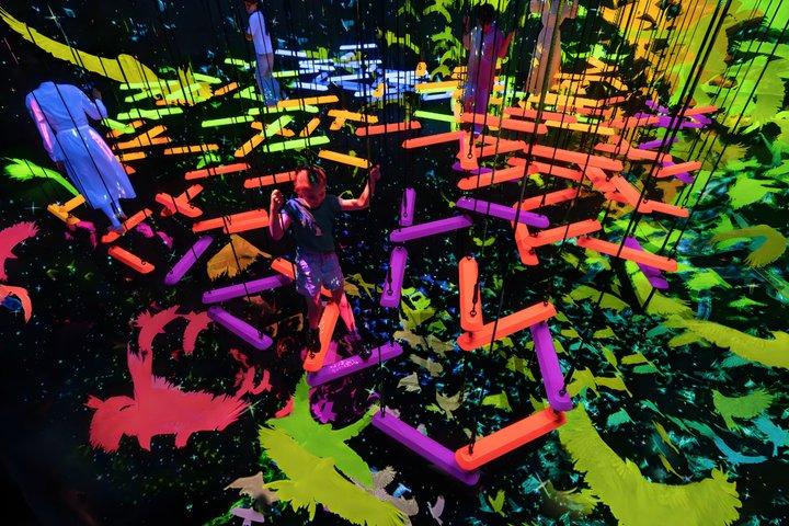 Kyoto TeamLab Biovortex Eintritt