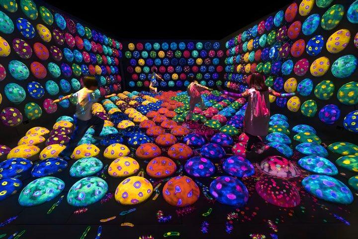 Kyoto TeamLab Biovortex Eintritt