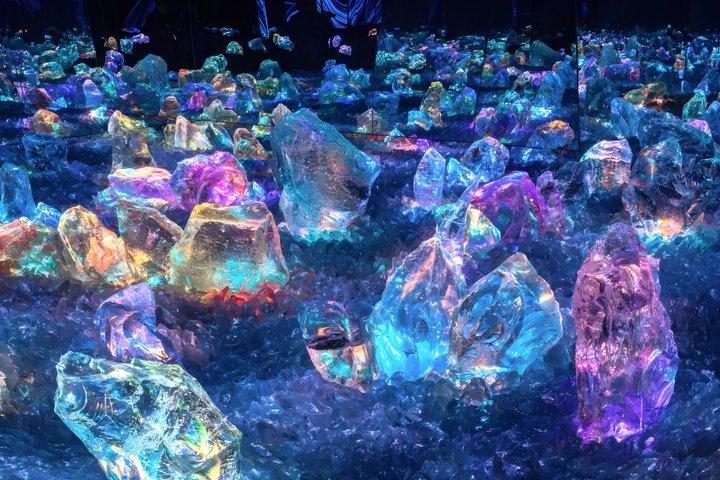 Kyoto TeamLab Biovortex Eintritt