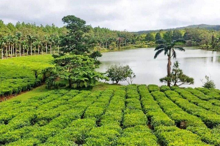 Full Day Private Guided South Tour in Mauritius