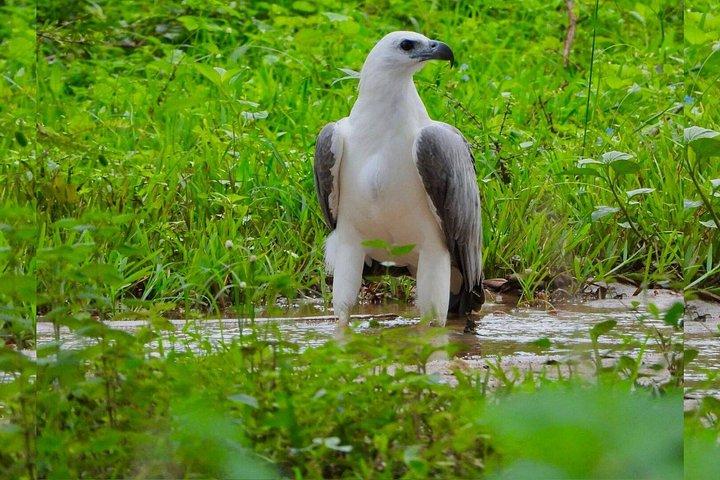 エラオールインクルーシブヤラレパードサファリ＆ビーチ送迎