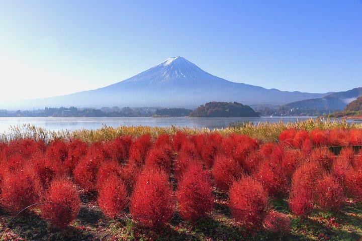 東京発富士山＆河口湖小グループツアー マックス12