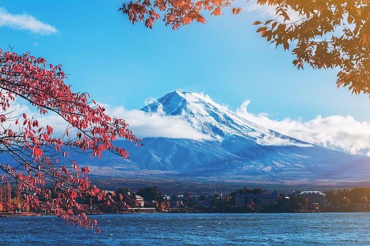 富士山＆河口湖小グループツアー＆東京ホテル送迎