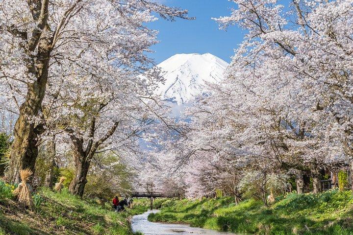 富士山＆河口湖小グループツアー＆東京ホテル送迎