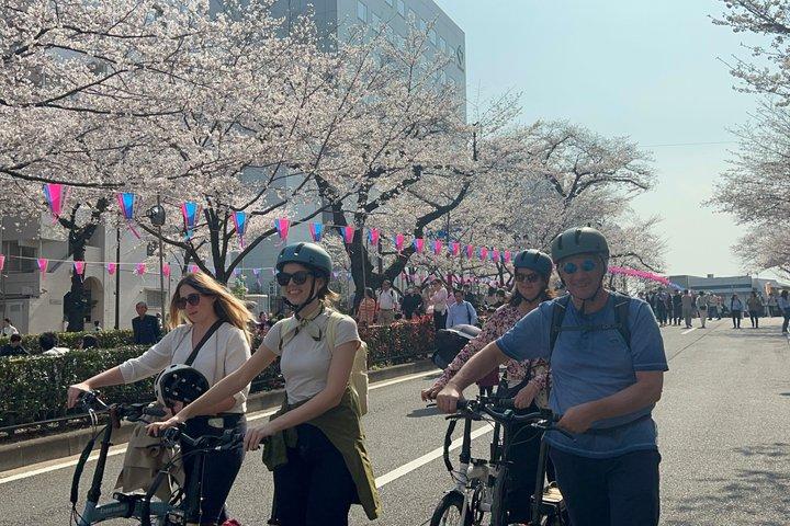 庭師のE-bikeや散歩で案内する、東京4時間「隠れた庭園」ツアー