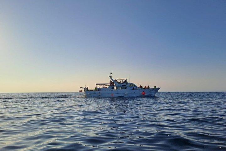 Crociera al tramonto con avvistamento dei delfini da Umago con drink di benvenuto