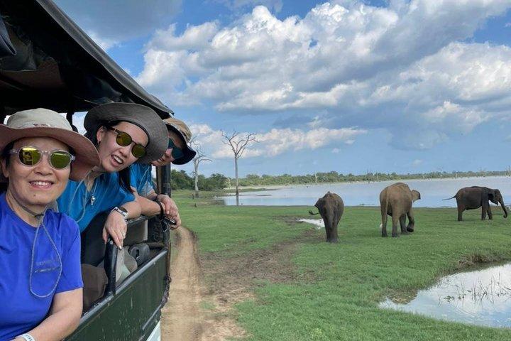 From Ella All Inclusive Udawalawe Safari with Transfer to Beach