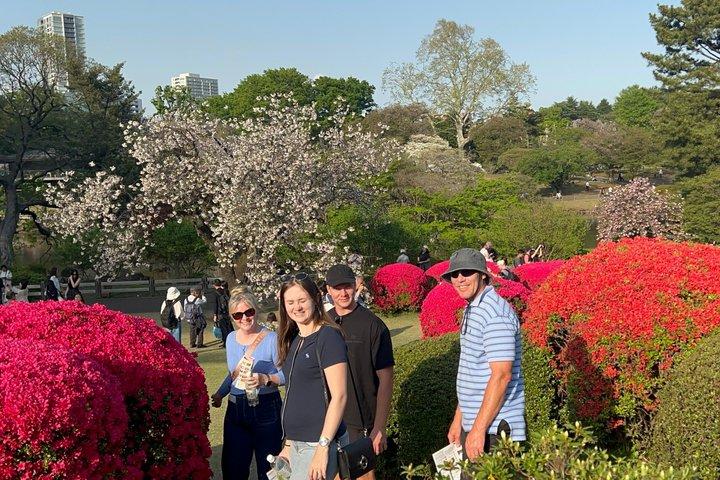 Tokyo Spring Flowering Gardens Tour met Gardener E-bike of wandeling