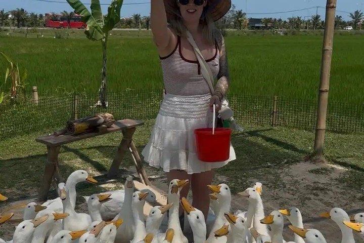 Duck Stop Eco Farm alimenta os patos e aprende a vida na fazenda com transferência