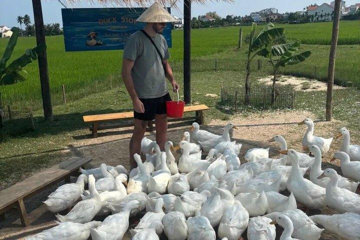 Duck Stop Eco Farm alimenta os patos e aprende a vida na fazenda com transferência