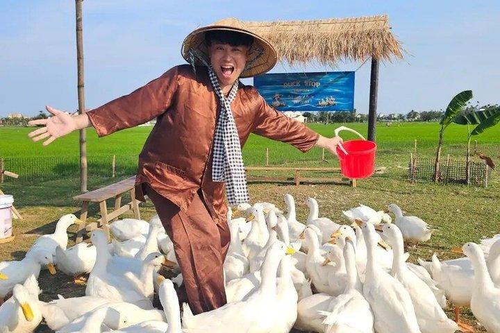 Duck Stop Eco Farm alimenta os patos e aprende a vida na fazenda com transferência