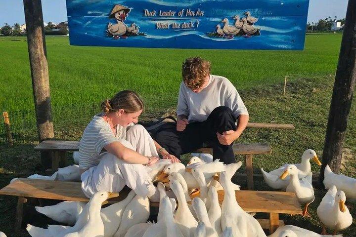 Duck Stop Eco Farm alimenta os patos e aprende a vida na fazenda com transferência