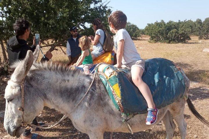Berber Donkey Ride & Tea i Essaouira