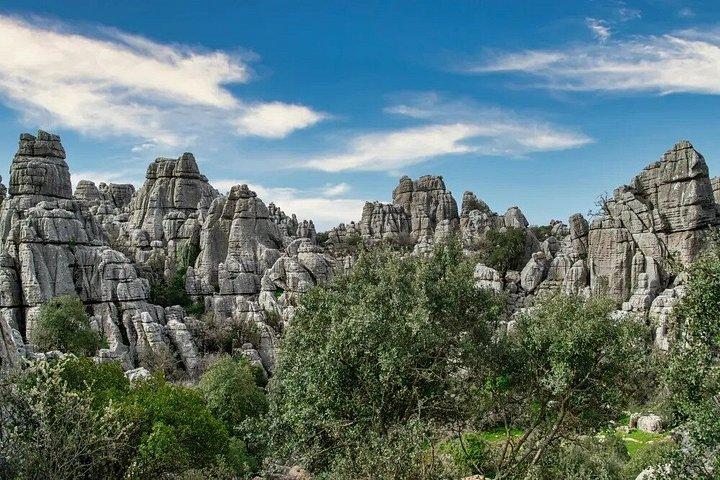 グラナダ発ロボ公園とトルカル・デ・アンテケーラ日帰り旅行