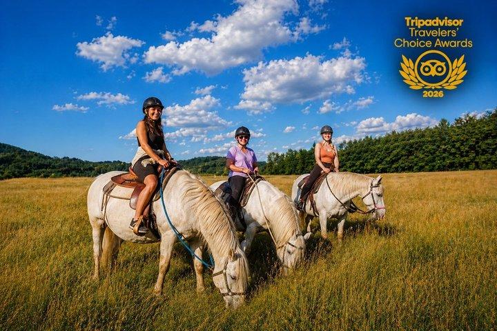 Passeio a cavalo na Suíça boêmia