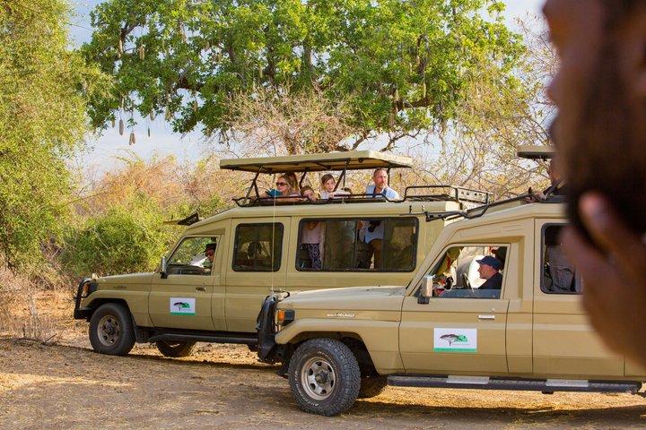 Safari económico privado de 3 días a Tarangire y el cráter de Ngorongoro