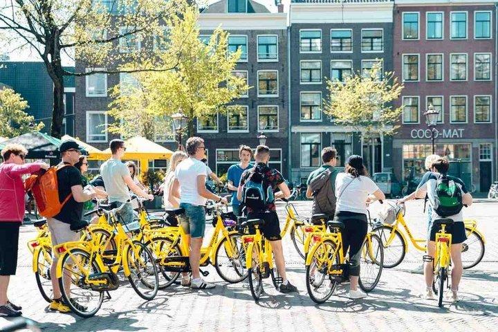 Il tour in bicicletta di Amsterdam di 1 ora