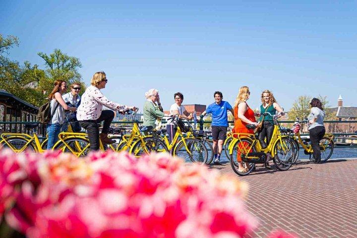 Il tour in bicicletta di Amsterdam di 1 ora