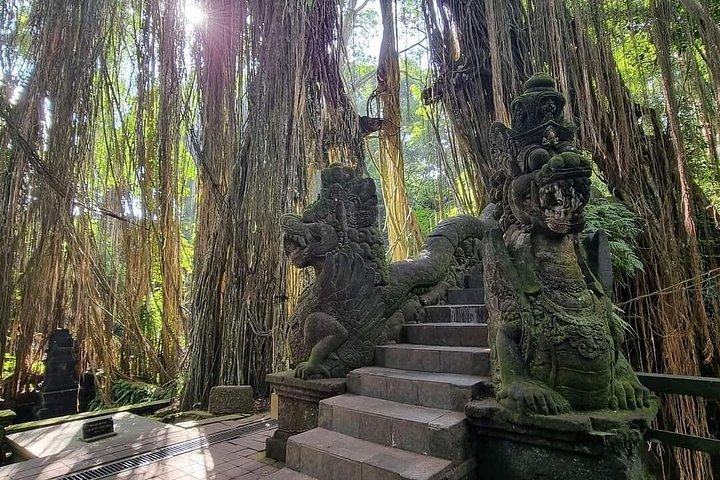 Punti salienti di Ubud : Foresta delle scimmie sacre, Terrazze di riso, Cascata