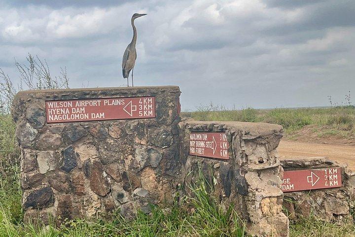 ナイロビ国立公園、ケニアランチ&ショッピング半日