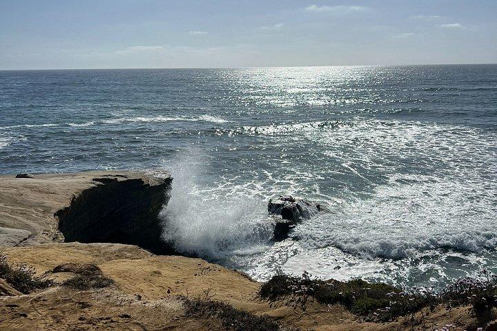 プライベートサンディエゴツアーコロナド、ラホヤ、バルボアパークなど