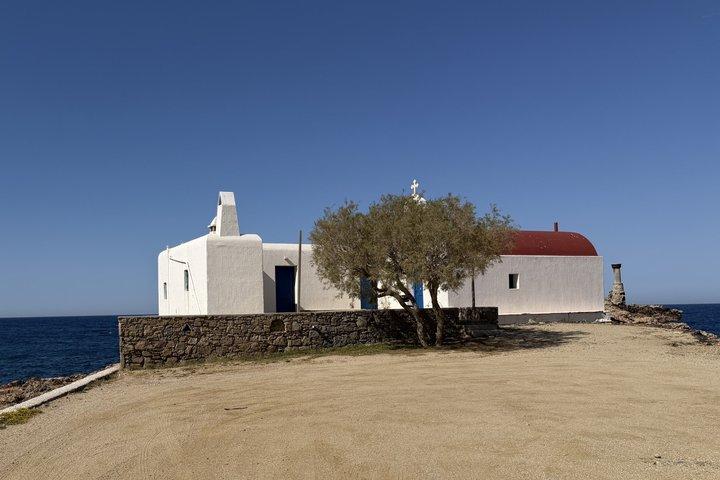 Mykonos Essentials: Private Tour for Cruise Visitors