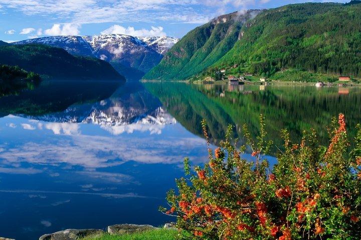 Sognefjord Private Tour ab Oslo Iconic Fjord in Norwegen
