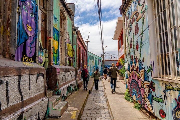 Excursion d'une journée privée au départ de Santiago