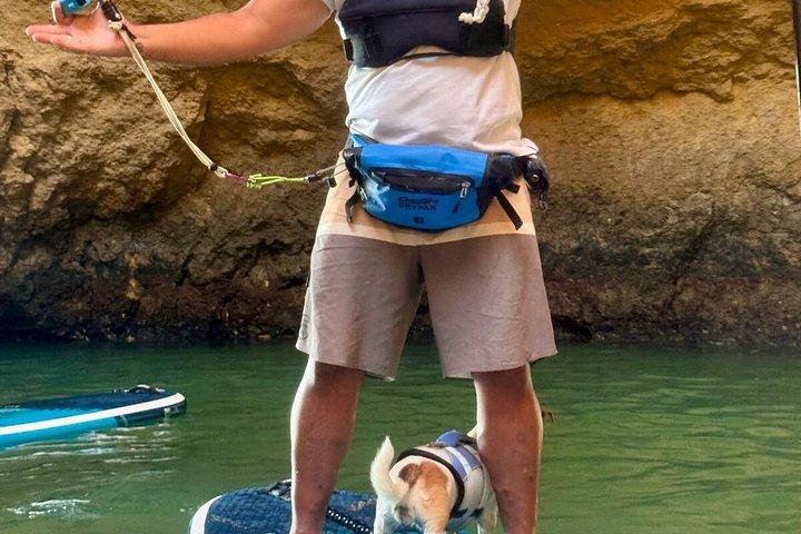 The #1 PaddleBoarding to Benagil Cave Experience