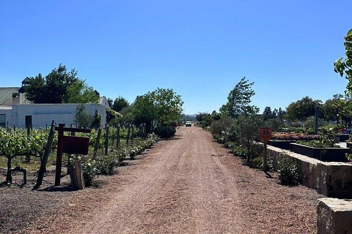 Excursion d'une journée privée au départ de Santiago