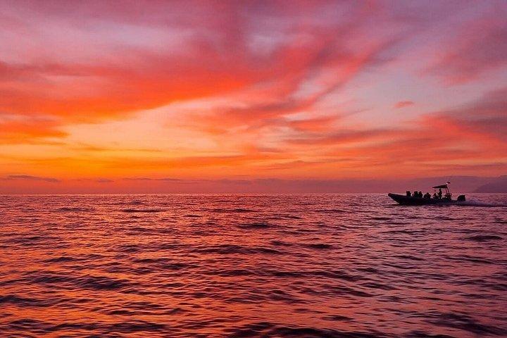 Dolphin Watching at Dawn in Alcúdia
