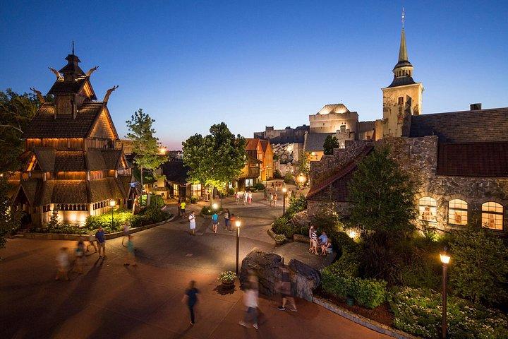 Pacchetto privato di trasporto di andata e ritorno del parco a tema Disney World