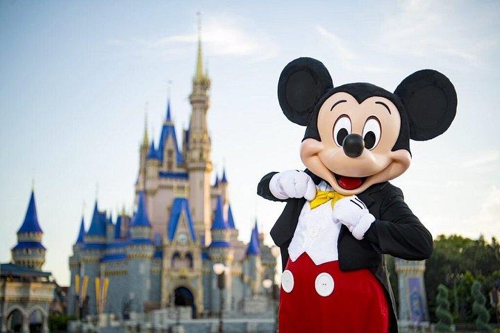 Pacchetto privato di trasporto di andata e ritorno del parco a tema Disney World