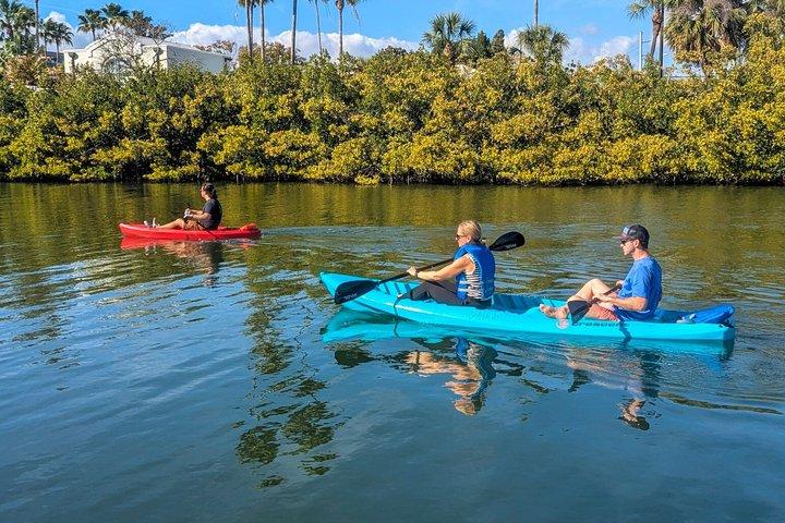 Miami Pelican Island Paddle