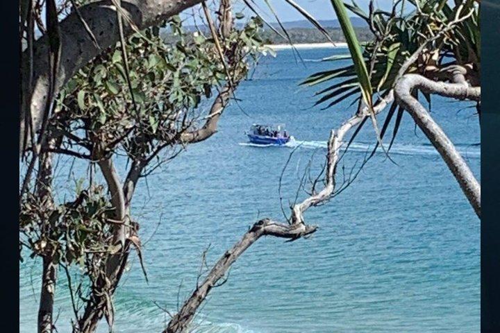 noosa qldでユニークなホエールソングスヌーサホエールウォッチング体験