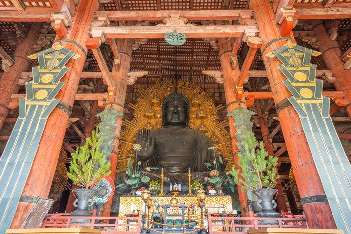 Excursion d'une journée à Nara : Todai-ji, Kasuga Taisha et promenade du cerf sacré